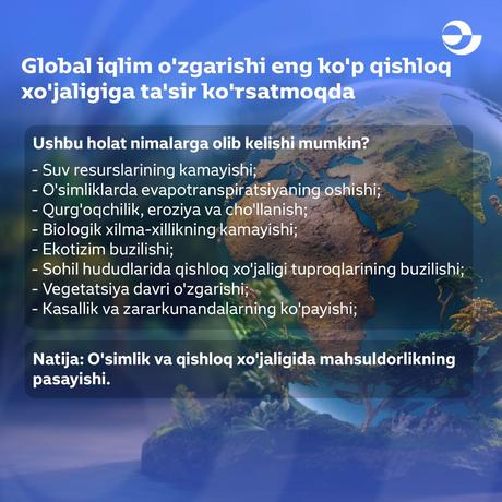 Collab – Online Learning Platform