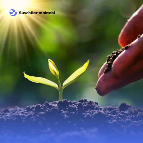 Collab – Online Learning Platform