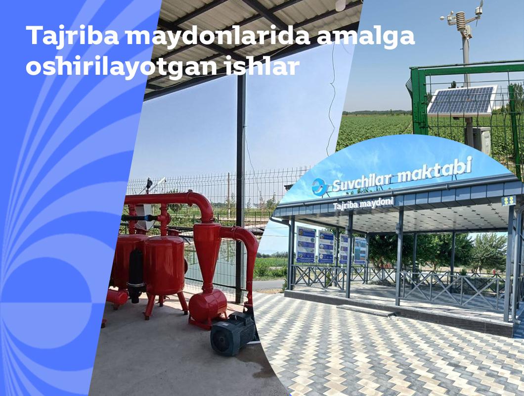 Suvchilar maktabi 